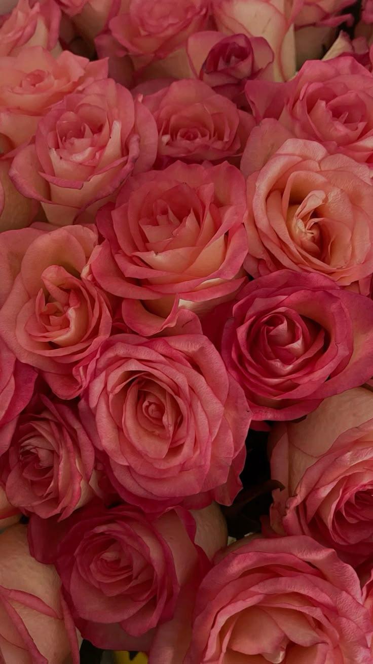 Azure Meander Summer workshop space where corporate flower arrangements are designed and prepared for business delivery